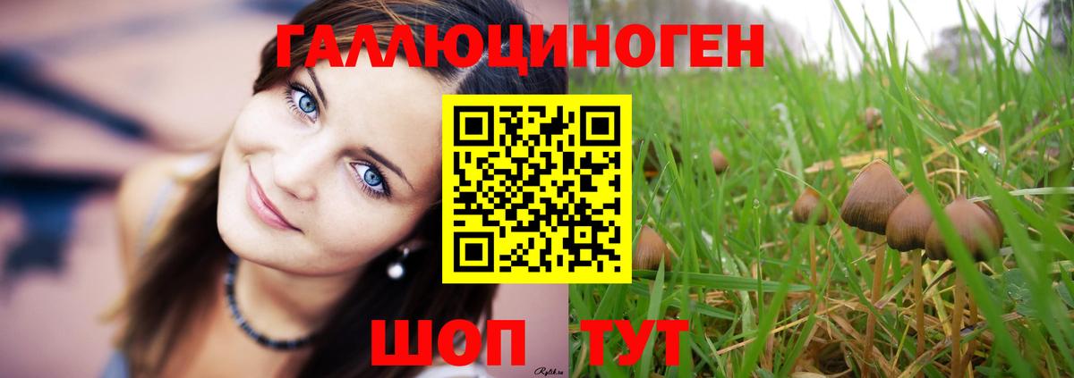 Псилоцибиновые грибы GOLDEN TEACHER Бугуруслан